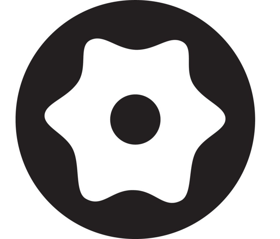 Torx Sign Security Torx Bits/Anti Theft Torx Bits | Chapman MFG – Chapman ...